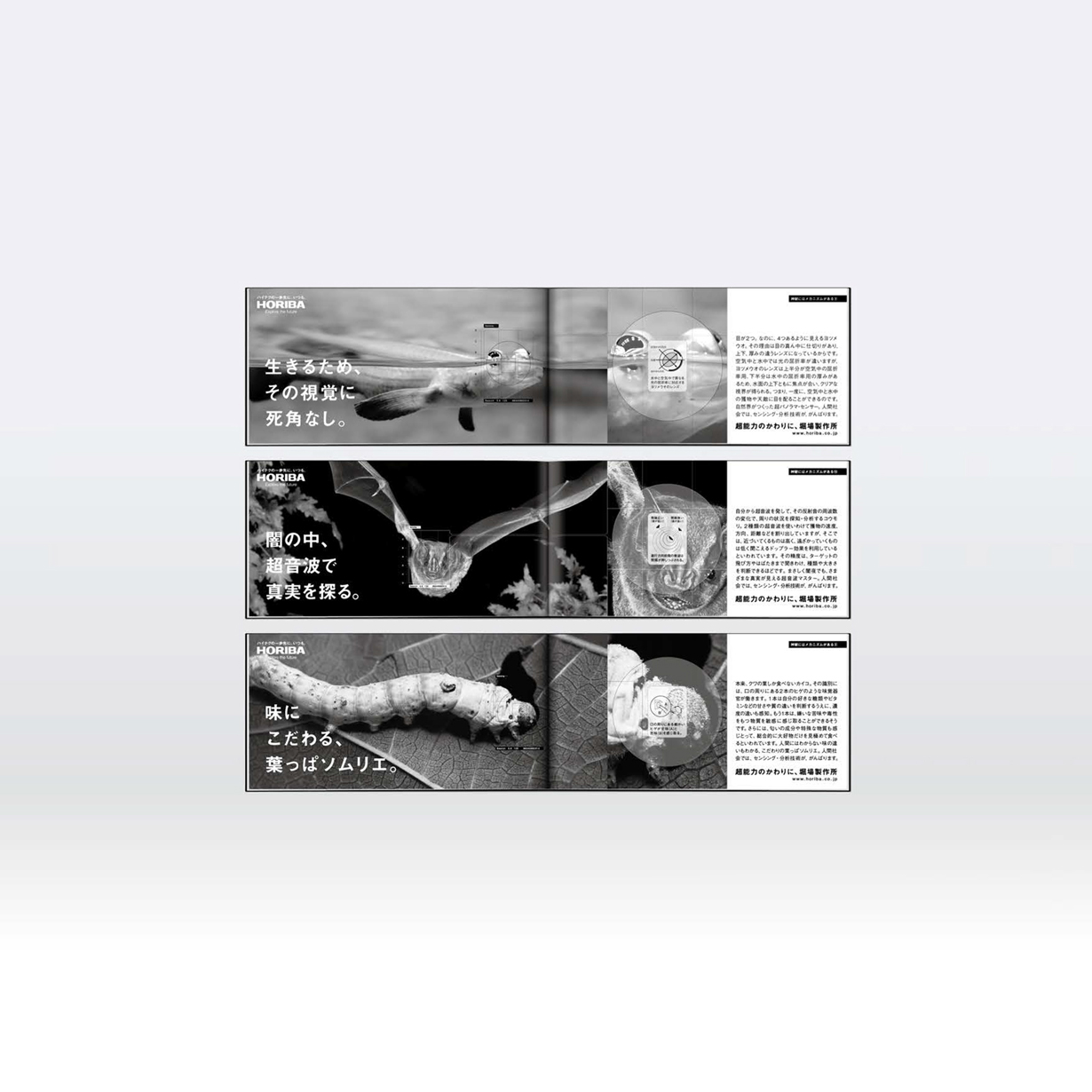 HORIBA 新聞広告